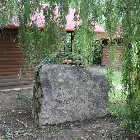 אתר קמפינג Turul And Camping Remetea (Bihor)
